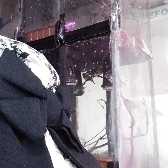 Lack And White Hat Large Rim Romantic 1900 Century Sean One Of A Kind H - Picture 4 of 16